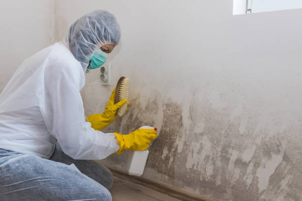 Crawl Space Mold Removal in Friendly, MD