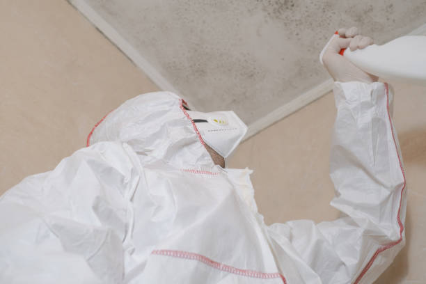 Best Black Mold Removal  in Friendly, MD